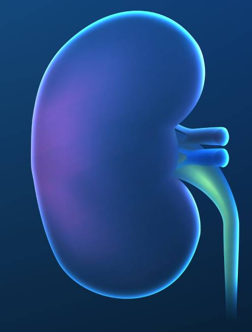 faqs-buscar-urologo-en-miguel-hidalgo.jpg